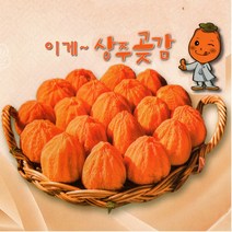 상주곶감 건시 실속형 가정용 1팩(600g), 1개