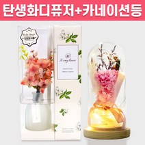 탄생화 디퓨저 선물 세트 4월 탄생화 벚꽃 + 카네이션 무드등 어버이날 부모님 선생님 엄마 장모님 생일 집들이 프리저브드 플라워 결혼 선물 실내 방향제 디퓨져, 아카시아, 핑크, 500ml