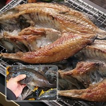 [씨쿡] 국내산 손질 반건조 대사이즈 우럭 2미 (500g내외), 단품