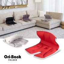 [오리백 폴더]신제품 프리미엄 자세교정의자 앉는자세 개념이 다릅니다 [레드], 스카이블루