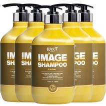 위스티 이미지 향기 좋은 퍼퓸 샴푸 아라로즈 500ml, 5개