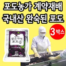 포도농가 계약재배 영동 포도즙 껍질 씨까지 통째로 착즙 3박스, 3개