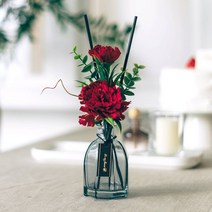 잇츠마이플라워 레드 카네이션 디퓨저 어버이날 부모님 선물 세트, 유칼립투스, 500ml