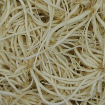 지리산차천지 삼채 요리 나물 삼체 뿌리 농장 생 세척 국산, 1박스, 5kgx1개입 세척생삼채