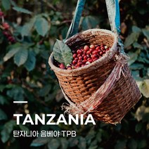 [커피생두] 탄자니아 음베야 TPB 1kg