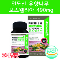인도산 보스웰리아 보스웰리아추출물분말 보스웰리아먹는법 홈쇼핑보스웰리아 보스웰리아고르는법 60정 2개월분