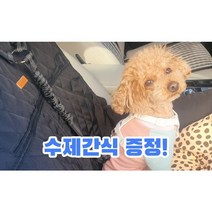 강아지 안전벨트 차량용 반려견 목줄 애견 충격흡수 리드줄, 클립형, 레드