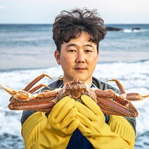 [선주직송] 박달 홍게 프리미엄 홍게 붉은 대게 포항 구룡포, 자숙/찜비, 1번만결제/별도구매불가