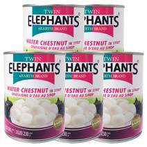 트윈엘리펀츠 태국 열대과일 워터체스넛 물밤 통조림 565g 5개