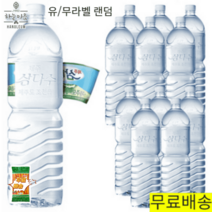 삼다수생수 무라벨 2리터 12개 2L 12PET (재고부족시라벨렌덤), 삼다수 2L