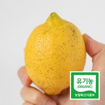 왁스 잔류농약없는 제주 유기농 레몬 3kg
