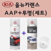 기아 올뉴카렌스 AAP 미스테리어스블루 주문 스프레이 페인트 + 투명스프레이 200ml