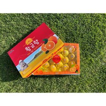 제주도 직송 황금향 가정용 3kg/5kg, 황금향3kg선물용