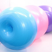 강아지 짐볼 애견 슬개골 탈구 예방 근력 운동기구, 에어펌프