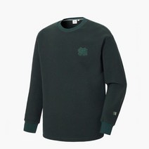(TLTBW21551DGR) 동절 남녀공용 마이크로플리스 MTM 코오롱스포츠 YE, DGR(다크그린)