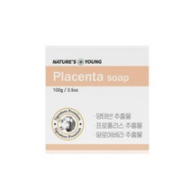 네이쳐스영 양태반 비누 100g 모공 각질 플라센타비누, 100g 10개