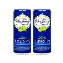1+1 초정탄산 라임 250ml X 30캔 총60캔