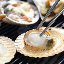 제철 통영 홍가리비 1kg 비단가리비 가리비 국내산 산지직송, 상세페이지 참조, 상세페이지 참조