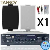 탄노이 DVS6 강의실 회의실 업소용 벽걸이 스피커 1