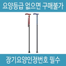 복지용구 지팡이 SF 노인 어르신 효도 할머니지팡이 실버용품, 블루, 감경대상자 6%