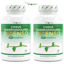 최신제조 2개세트 시서스 인텐소 고용량 725mg 180캡슐x2개 비트포에버 다이어트
