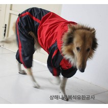 제조사 직거래 반려동물 의류 빅 도그 레인코트 빅 도그 네발 레인코트 빅 도그 펫 레인코트, 붉은, L-XS