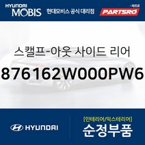 올뉴 싼타페DM 순정 사이드미러 커버(백미러 스캘프) 좌측(화이트크리스탈) (876162W000PW6) 올뉴 싼타페 현대모비스, 1개