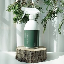 페인트인포 올바른 고농도 편백수 스프레이 탈취제, 1L, 1개