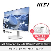 MSI PRO AP241 11M-689KR Win11 화이트 에디션 (4GB M.2 128GB)