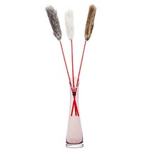 1PC 고양이 티저 지팡이 스틱 대화 형 장난감 애완 동물 훈련 무작위 색상 40cm, 01 1pc Random color
