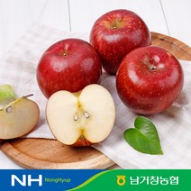 [남거창농협]달콤아삭 사과 5kg(대과)14-16과 내외, 단품