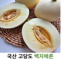 국내산 고당도 백자메론 5kg 10kg 국산 당도보장 백자메론 꿀메론 꿀뚝뚝 메론 부드럽고 매우 달콤한 백자멜론, 10kg내외(6-10수)
