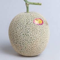 머스크 세지 파파야 칸탈로프 메론 3kg 6kg, 11_세지 메론 중과 2.5kg 1-2과
