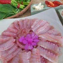 전라도 흑산도홍어 국내산홍어 목포홍어 국산홍어 흑산홍어 500g 1kg 1.5kg 생홍어 삭힌홍어 안삭힌홍어(1k이상주문시 홍어애또는묵증정)홍어코 초장서비스, 싱싱, 국산500g
