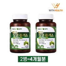 위드헬스 혈액순환 은행잎추출물 영양제 징코 플러스 (4개월분), 2병, 600mgx60정