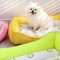 에코펫위드 강아지 고양이 여름 과일 쿨링 방석 쿨매트, 참외(옐로우)