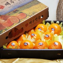 제주 레드향 선물세트 3kg 11~12과 대과 지정일예약 (쿠폰가 31900원), 제주 레드향 선물세트 3kg 11 12