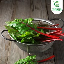[온도씨]가락시장 적근대 300g, 단품