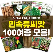각종 민속류 씨앗 모음 더덕 도라지 당귀 나물 고수 약초 산채 씨앗 씨 종자, 47-만삼1000립, 1개