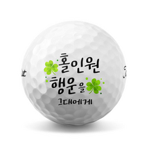 23 홀인원 기원 행운 클로버 골프공 로고 인쇄 제작(6구), 볼빅 비비드 화이트 6구, A