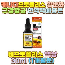 프로폴리스스포이드 플라보노이드 캐나다프로폴리스 아기 유아 어린이 키즈 초등 중 고등 대 학생 청소년 수험생 중년 장년 중장년 노년 노인 어르신 야근 피로 과로 피곤 밤샘 새벽 야간 근무 작업 공부 알바 회식