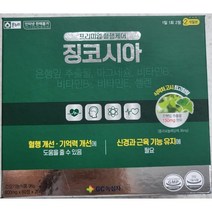 녹십자 징코시아 120정(2개월분) 구 파워키넥신, 120정, 1개