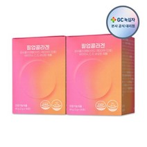 GC녹십자 필업콜라겐 2000mg 30포 2박스 (1개월분) 비타민, 단품