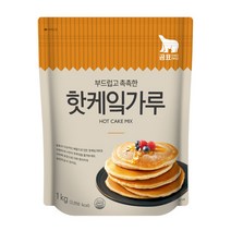 곰표 대한제분 핫케이크믹스 핫케잌가루 1kg