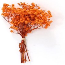 부케돔 미니 건조 아기 숨결 아이보리 흰색 꽃다발 헤어 웨딩 테이블 홈 크리스마스 가을, 30.Orange - 100g