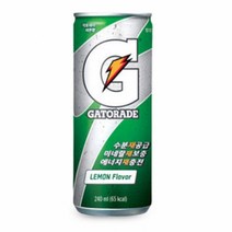 롯데 게토레이 240ml x 30캔, 단품, 개당 용량