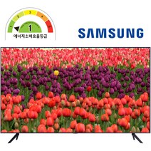 삼성전자 55인치 사이니지TV 비지니스 TV 모니터 유튜브 UHD 4K LED 1등급 BE55A-H 1등급 [무료설치][무료폐가전수거], 107cm/43인치, 아니요, 벽걸이형