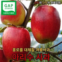 [상쾌한맛에대가] 마미템 경북 고당도 청송사과 아리수 꿀사과 햇사과 가정용 선물용, 1박스, 중과 10kg