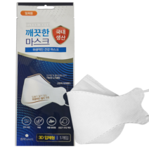 맑은나라 원데이 황사 방역용 마스크 KF-94 1매 백색 대형, 1개