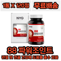 NYG뉴일리 88파워조인트 캐나다 엠에스엠 MSM 관절 연골 건강에 도움을 줄 수 있음 건강기능식품 상어연골분말 관절영양제 글루코사민 손목 무릎, 1개
